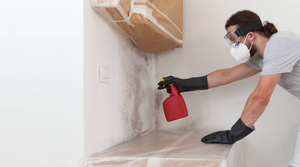 Professional Crawl Space Mold Removal technician working in Harrellsville, NC