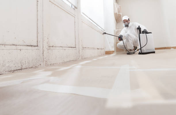 24/7 Emergency Crawl Space Mold Removal experts in Harrellsville, NC